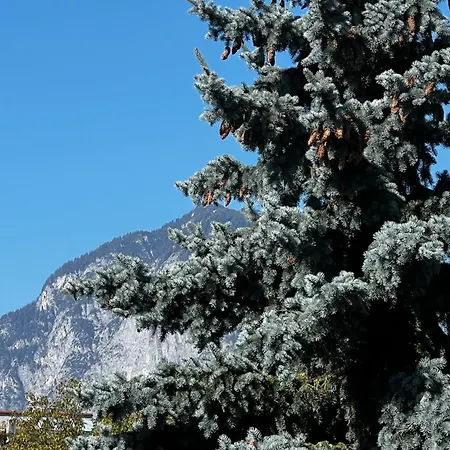 Anton インスブルック