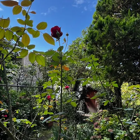 Anton * Инсбрук