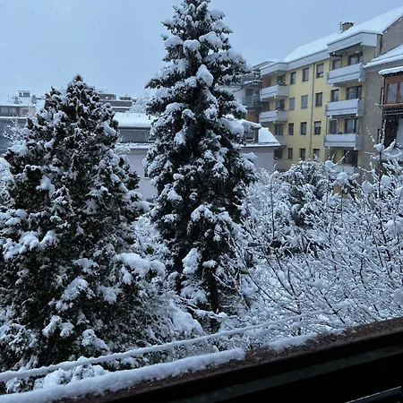 Apartment Anton *
